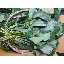 #가락시장 나물이네# 당일경매 참취나물2kg/오후2시이전주문당일출고99%/주말 공휴일제외, 2kg