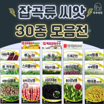 콩 옥수수 씨앗 강낭콩 작두콩 서리태 호랑이콩 종자 백태 땅콩 율무 녹두 팥 완두콩 씨, 12. 적작두콩(넝쿨) 5립-다농
