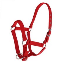 승마용품 승마바지 여성 헬멧 조끼 S/M/L 조정 가능한 말 목 홀더 Bridle Horse Halter 승마 Rein For Trai, Red M