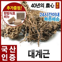 자애인 대계근 300g 엉겅퀴뿌리 경북안동, 단품