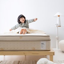 [방수커버증정+방문설치] 레이디가구 스칸딕 오가닉 독립스프링 매트리스 슈퍼싱글/퀸 SS/Q, 02. S2 (17cm 미니포켓)