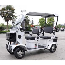 어르신전동차 휠체어 삼륜 초소형 삼륜차 마실 관부가세포함, 차량+800W+60V20A+레인커튼+가방