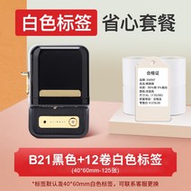 님봇 NIMBOT 엘리트 B21 라벨프린터 라벨프린트 반자동 라벨기 라벨러 라벨발행기 PAGEE 카카오 바코드프로그램, B21블랙12컬럼흰색라벨증정2컬럼라벨