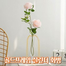 (바른태도) 홈카페 홈가드닝 북유럽 꽃병 인테리어 소품 거실 안방 테이블소품 실린더 실험관 화병, 1개