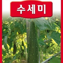 [가람종묘사] 수세미 씨앗(기관지염 축농증 변비 피를 맑게 해주는 청혈작용 등에 효능)