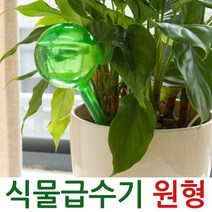 식물 급수기 원형 화분 화단 물주기 볼 원예 영양제, 급수기원형-투명-대