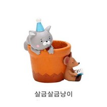 화분 다육이 루고 러블리캣 거실화분, 당근냥이