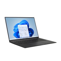 LG전자 울트라PC 엣지 16U70Q-GA76K [256GB 16GB], WIN11 Home, 차콜그레이, 256GB, 코어i7, 16GB