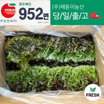<해돋이농산> 꽃상추 2kg내외 4kg내외(상), 2kg, 1개” class=”wr-img”></a></div></div></div></div><div class=
