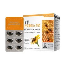 광동생활건강 - 광동 프로폴리스 아연 600mg x 60캡슐, 상세페이지 참조, 상세페이지 참조