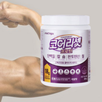 뉴오리진 코어리셋 프로틴 300g 1통 a2밀크 유래 우유 단백질 이승기