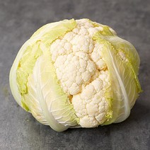 제주 콜리플라워 특 1.5kg, 단품
