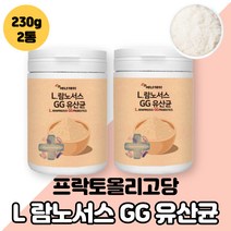 LGG유산균 l. 람노서스 gg 유산균 분말 가루 락토바실러스 락터바실러스 락투 낙토 랍토바실러스 남노서스지지 람노세스 람노서스쥐쥐 람누서스 프락토올리고당 프리 프로바이오틱스, L람노서스GG유산균 2통