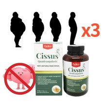 시서스 가루100% 분말 225g 3병 시저스 효능 뉴질랜드 식약처 인증 시서스 인도산 100% 씨서스, 3개