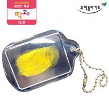 형광 지문찾기 만들기 열쇠고리 5인 키트 방과후교실 조립키트 과학놀이 실험기구 과학준비물 초등 실험