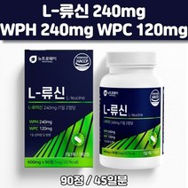 L-류신 600mg 90정 WPH WPC 로이신