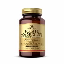 솔가 엽산 666mcg DFE 폴릭에시드 400mcg 250타블렛 Folate