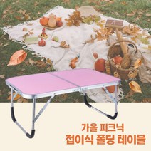 접이식테이블 피크닉 테이블 캠핑 휴대용 폴딩 미니 간이 테이블 원룸, 그린