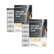 관절연골엔 관절MSM 2 000mg 관절 msm2000 엠에스엠 msm, 2개, 2개월