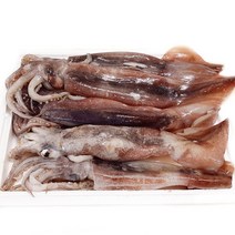 냉동손질오징어 가격비교 구매