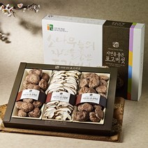 [강원도 설악산] 마수아 혼합 버섯세트 5호, 단품