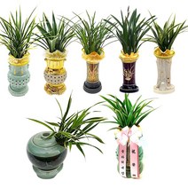 동양란 서양란 개업 승진 축하 취임 은퇴 전국 꽃배달 모음, 산천보세