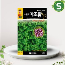 솔림텃밭몰 허브씨앗 마조람씨앗 100립 스위트마조람 허브씨
