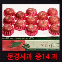 [경북문경사과] 먹기 좋은 크기의 아삭하고 새콤 달콤한 가정용 실속포장 2kg~10kg, 1박스, (중14과)5kg 내외