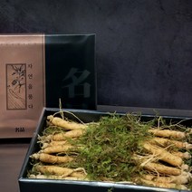 경성건강원 수삼 인삼 자연산수삼 주스 생인삼 인삼의효능 수삼보관법 먹는방법 사포닌 진세노사이드 100프로 국내산 산지직송, 1세트, 300g [10~13뿌리]