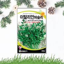 이탈리안파슬리씨앗 200립 향나물 파슬리 씨앗 종자