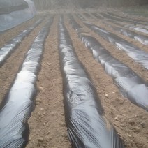 국산 농업용 멀칭 롤 비닐 90cm x 200m 0.02mm 농사용 필름 주말 농장 텃밭 마늘, 1개