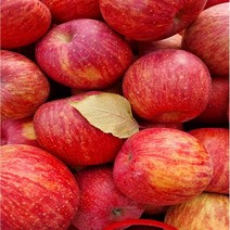 GAP인증/꿀사과/14브릭스이상/당도보장/2.5kg .5kg, 5kg(1호), 꿀부사/5kg/1호/선물.제수용