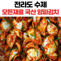 전라도 수제 양파김치 1kg 2kg 양파물김치, 양파김치_2kg