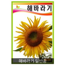 해바라기 더블썬깅 10립, 해바라기 일반종  1kg