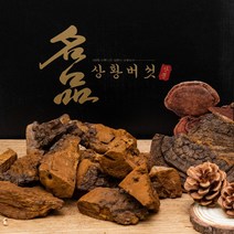 [절편발송]상황버섯/70년산 1kg/자연산 정품 산뽕나무상황버섯/국내최상급상황버섯 효도선물 고급포장