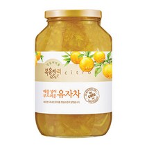 메가커피 복음자리 유자차 1000g