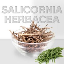 더건강한샵 국내산 건조 함초 말린 퉁퉁마디, 1팩, 600g