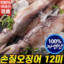 국내산 오징어 선동 손질오징어 여수수협 직수매 천일염 통통 자연산 100% 후기 추천 (12마리) [로코스나인 홈쇼핑] 냉동오징어 선동오징어 자연산오징어, [로코스나인]손질오징어 :7팩 X 250g(총21마리)