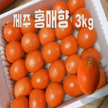 제주감귤 빨간귤 귤한박스 홍매향 3kg