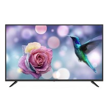 TNM 라이트 FHD LED TV, 스탠드형, 자가설치