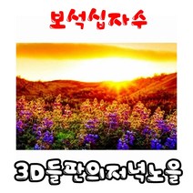 꼬맹이네십자수 보석십자수 3D들판의저녁노을 (LIEX40013906)
