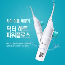 일상한조각 물치실 치아세정기 구강세정기, Power Floss