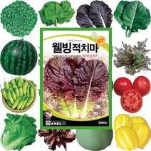 쌈채소씨앗모음 로메인종자 상추씨앗 씨앗심기 아욱씨 케일파종, 115 양배추 300립