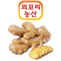 꾀꼬리농산 햇생강 봉동 깐생강 1kg 생강청 생강차 생강효능 생강가루 생강차효능 생강청만들기 생강차만들, 상세페이지 참조, 상세페이지 참조, 상세페이지 참조