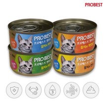 프로베스트 캣푸드 고양이 간식캔, 참치 + 치어 혼합맛, 48개입