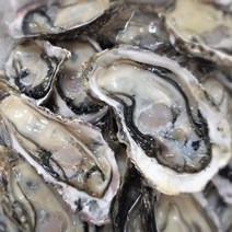 장가네수산 산지직송 통영생굴 하프셀 반각굴 3단 100미 내외/(평일오후2시이전까지 당일발송), 1box, 하프셀 3단(90미내외)