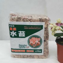 수태 테라니움 토피어리 풍란 동양란 이끼 75g 숯돌꽃
