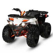 ATV KAYO AU110 4륜바이크 사륜오토바이 네발오토바이 부모님효도선물