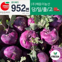 <해돋이농산> 국내산 제주 콜라비 적콜라비 3kg 5kg 10kg알이큽니다.이번경매로 싸게샀습니다.” class=”wr-img”></a></div></div></div></div><div class=