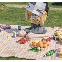 다이소돗자리 캠핑 피크닉매트, 민트 대형
